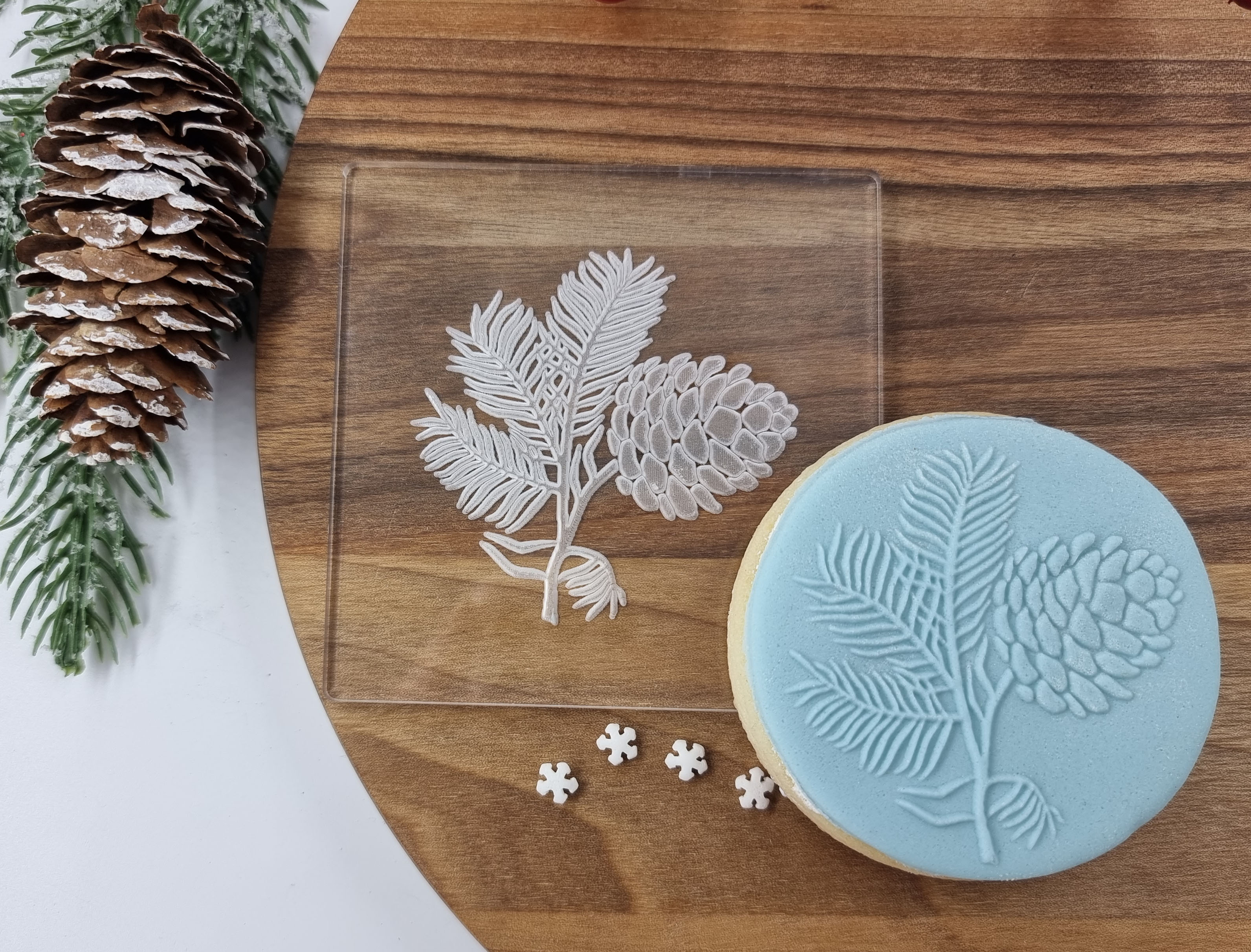 Acorn Fondant Embosser Stamp, Cookie|Designer Fondant Embosser Stamp