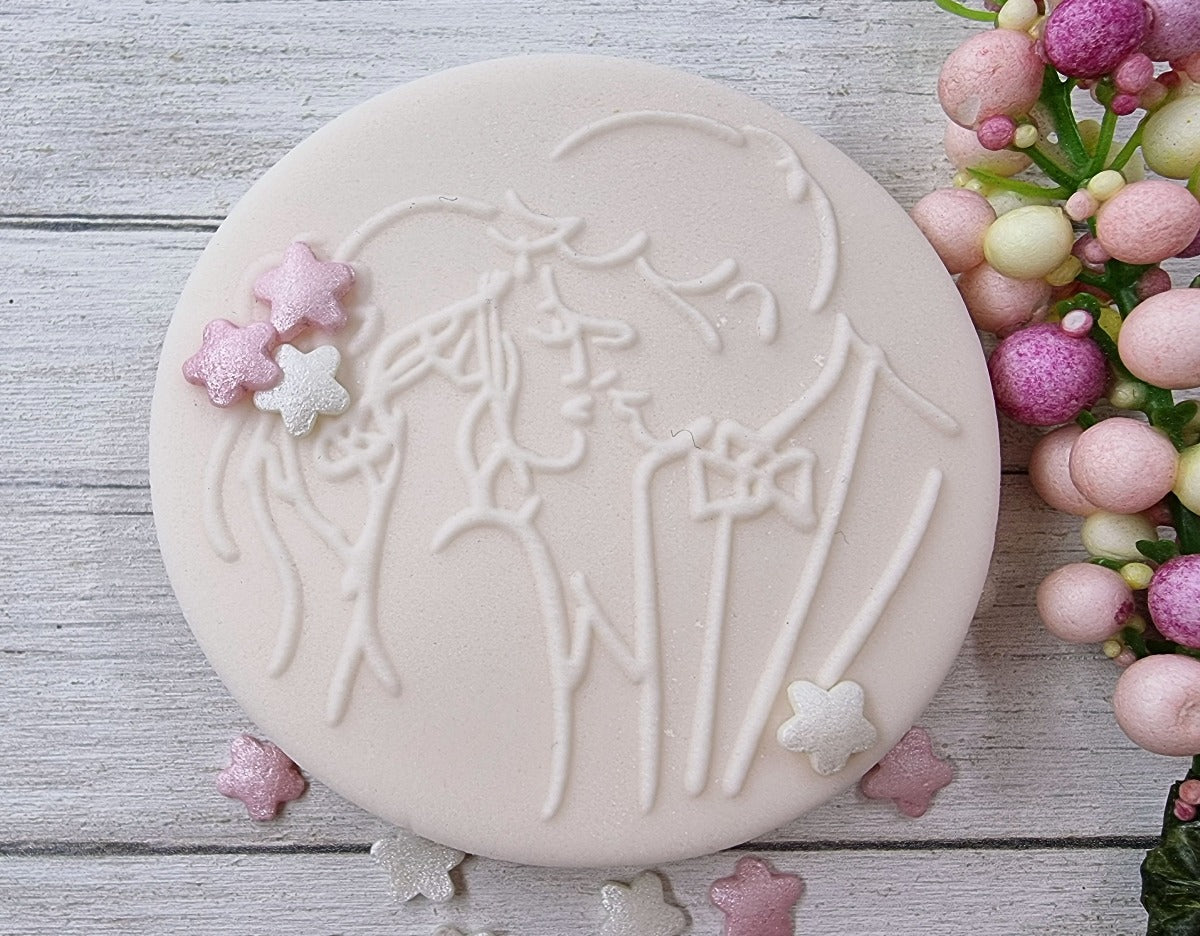 Designer Fondant Cake Stamps