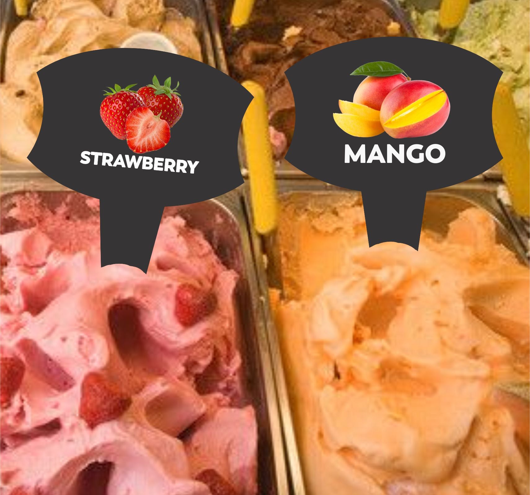 12 pcs Gelato Flavor Markers, Ice Cream Flavor Signs, Flavor Tags, Gelato Stickers, Ice Cream Sticks